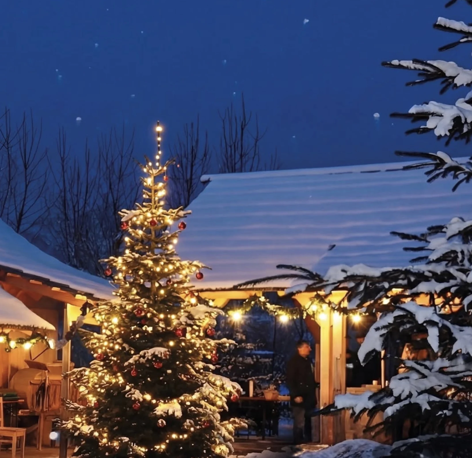 Geschmückter Weihnachtsbaum im verschneiten Dörfl